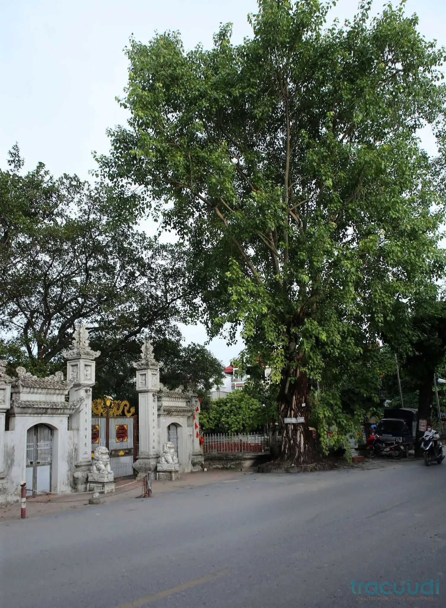 Cổng vào đình Ngọc Mạch