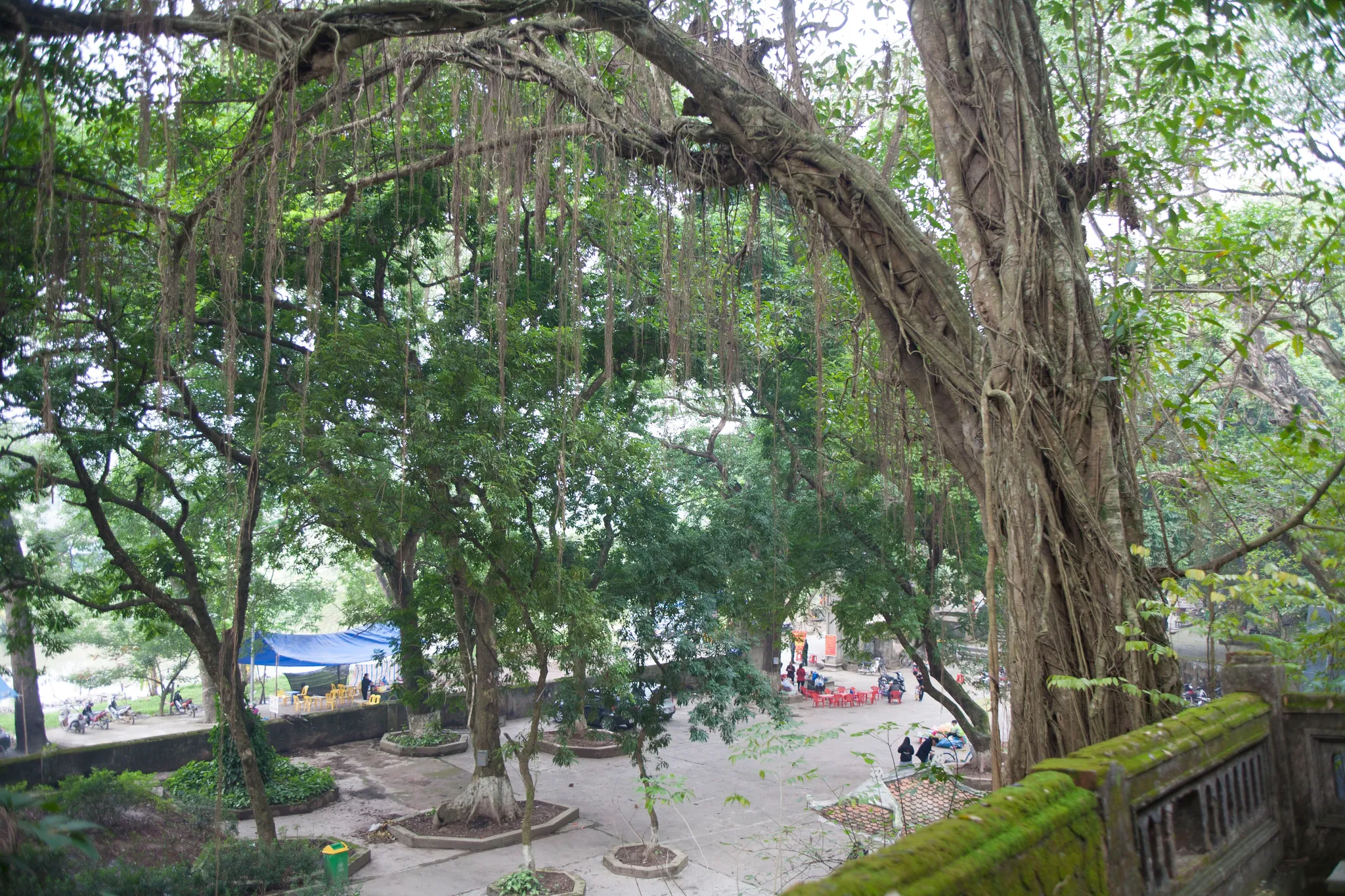 Không gian cảnh quan di tích Chùa Trầm