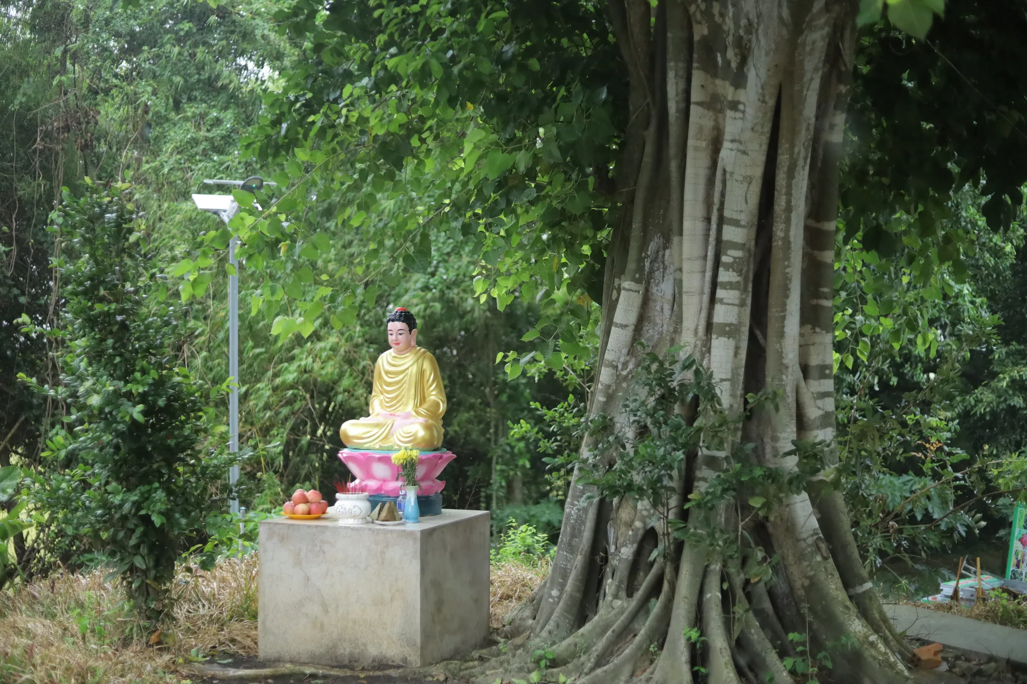 Tượng Thích Ca trên đồi chánh điện