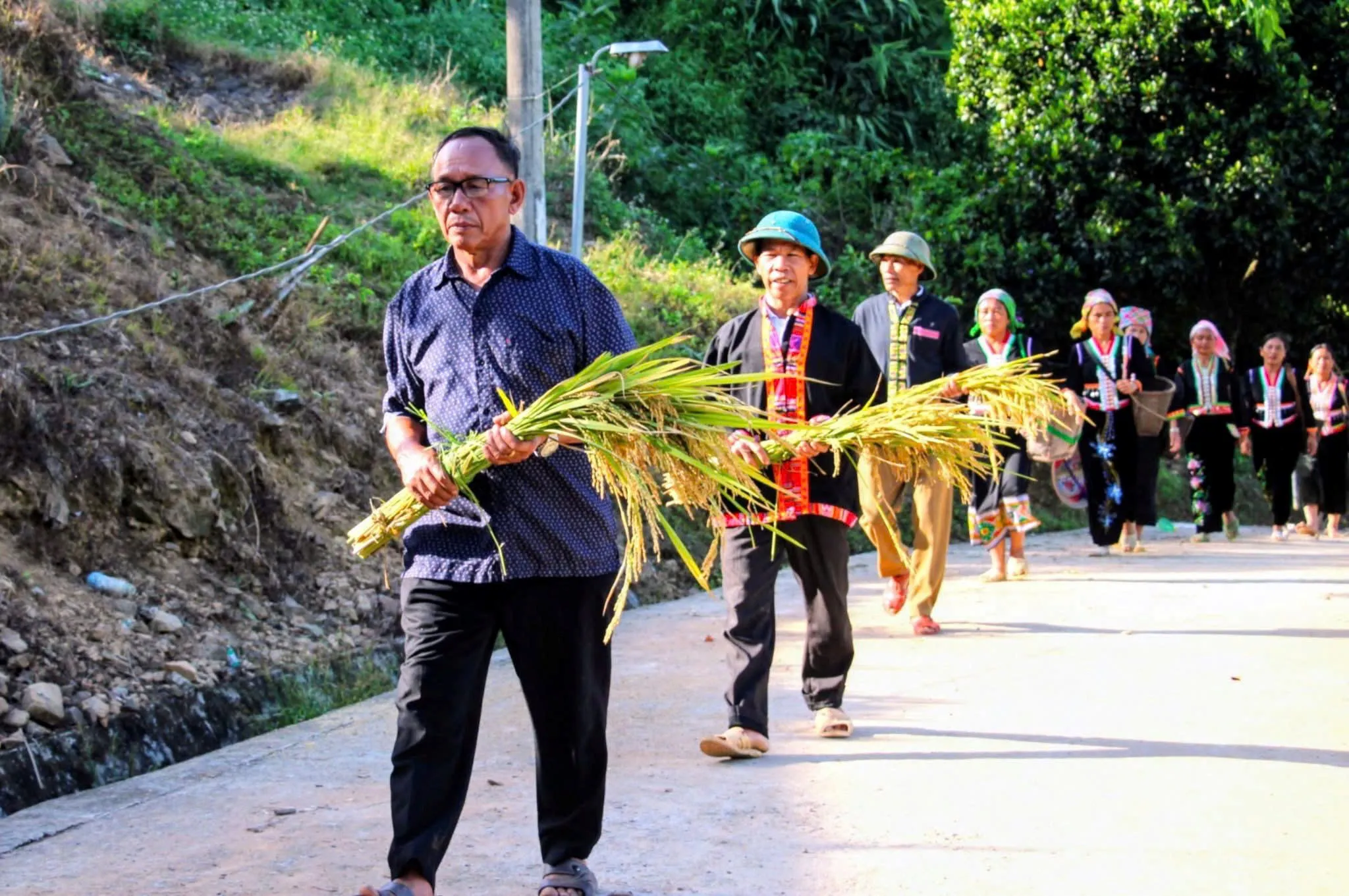 Thu hoạch lúa mang về làm lễ tại Lễ hội ăn lúa mới dân tộc Khơ Mú