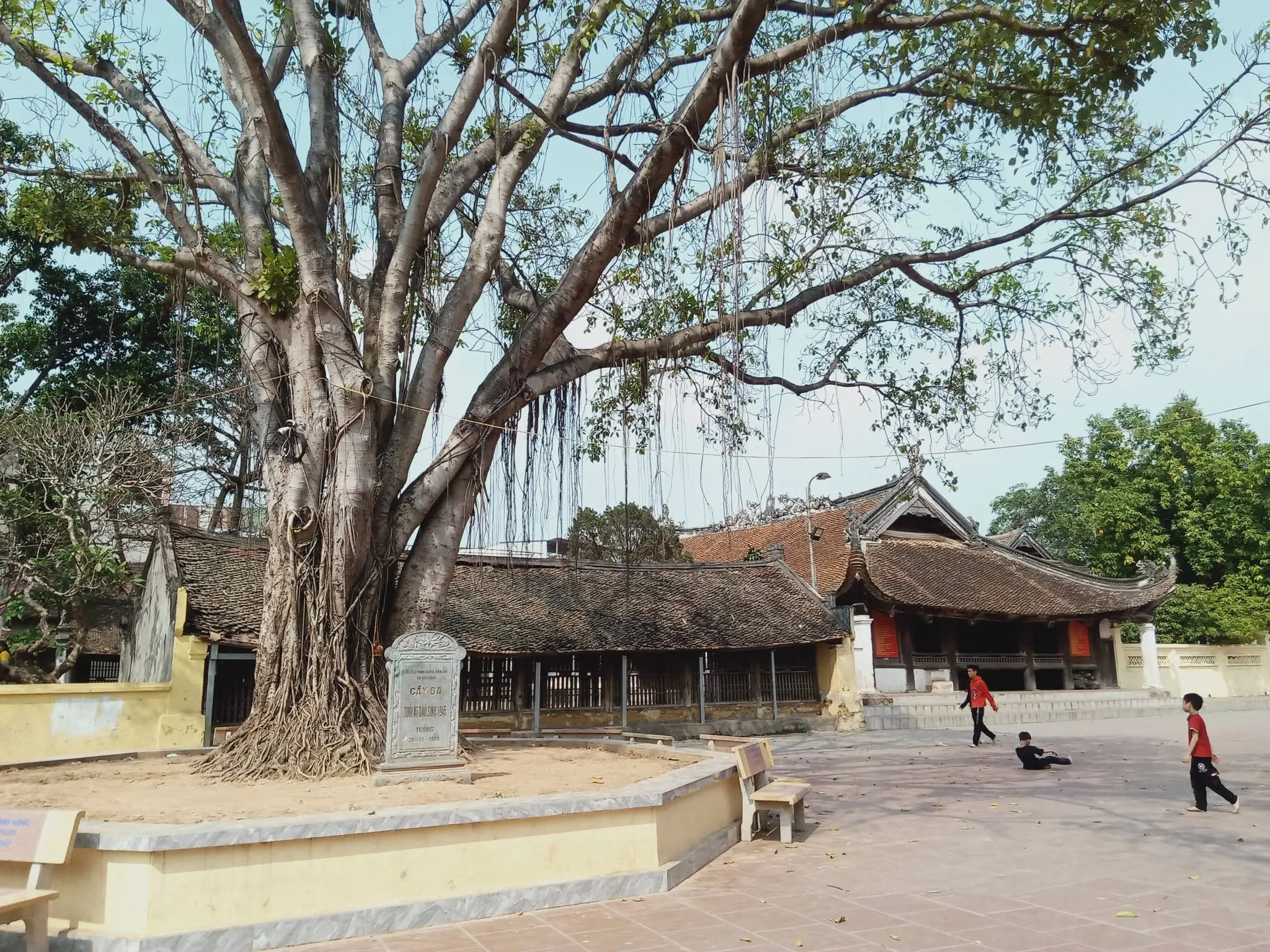 Toàn cảnh sân đình Hữu Bằng