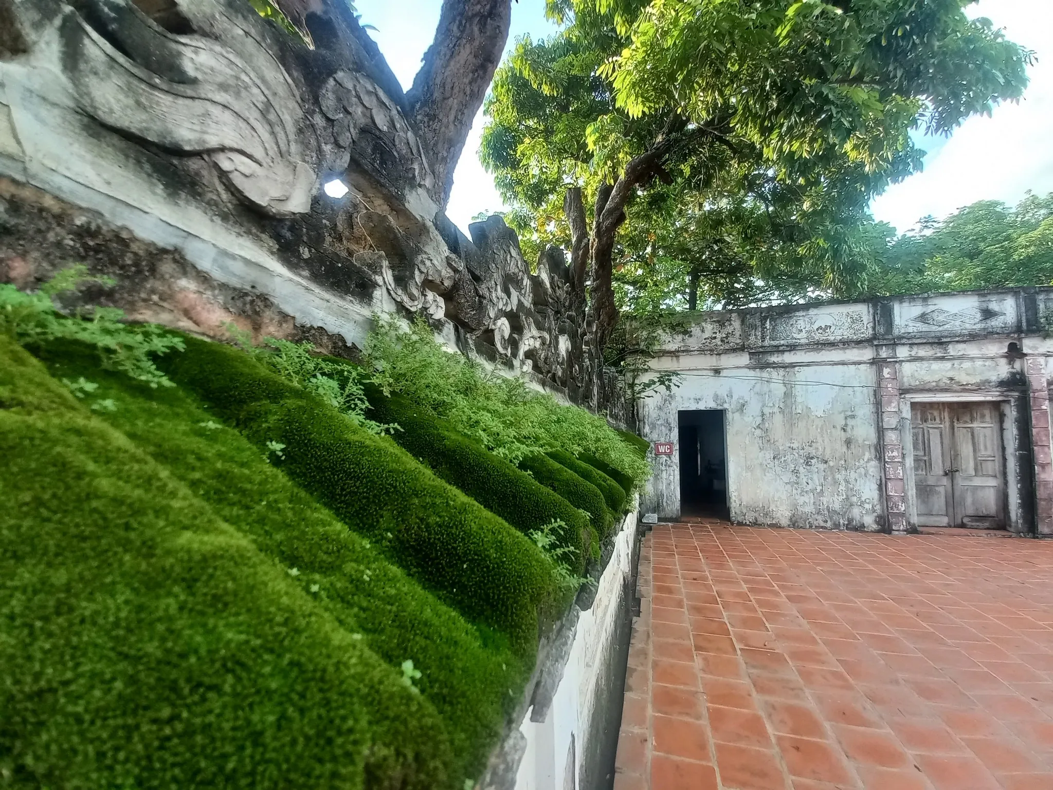 Rêu phong trên tường bao Đình Sơn Đồng