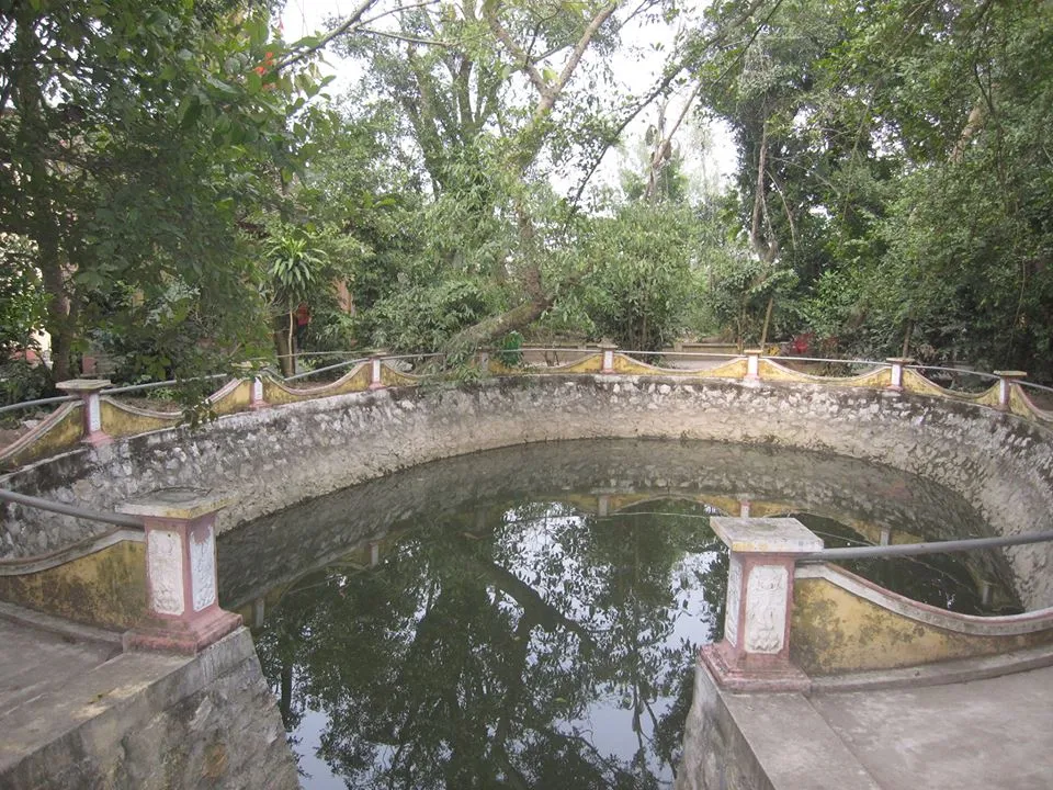 Ao nhỏ hay còn gọi là mũi rồng tại Đền Vua Rộc