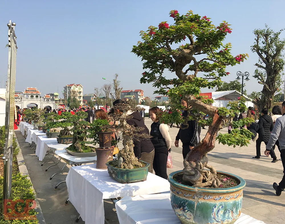 Triển lãm sinh vật cảnh tại Lễ hội Xương Giang
