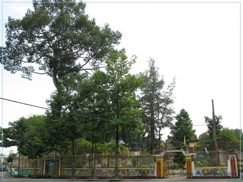 Quang cảnh bên ngoài Đình Phong Phú