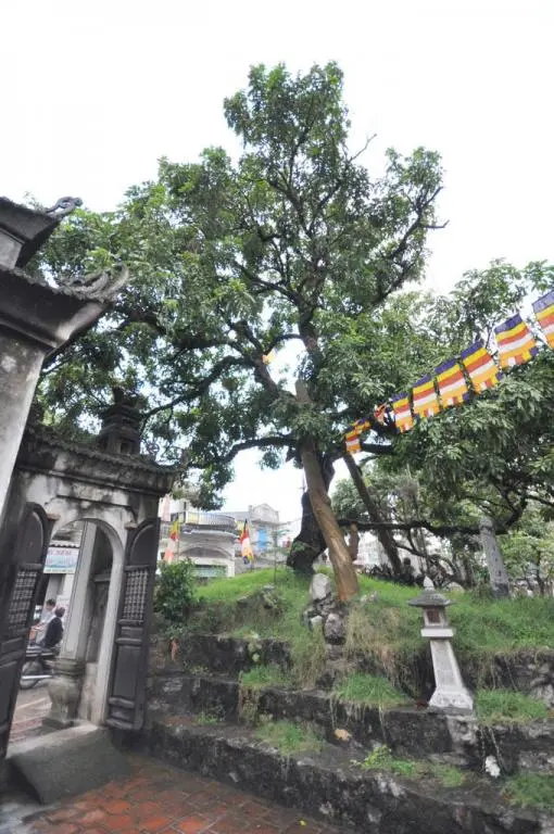 Quang cảnh xung quanh Đình Hiến