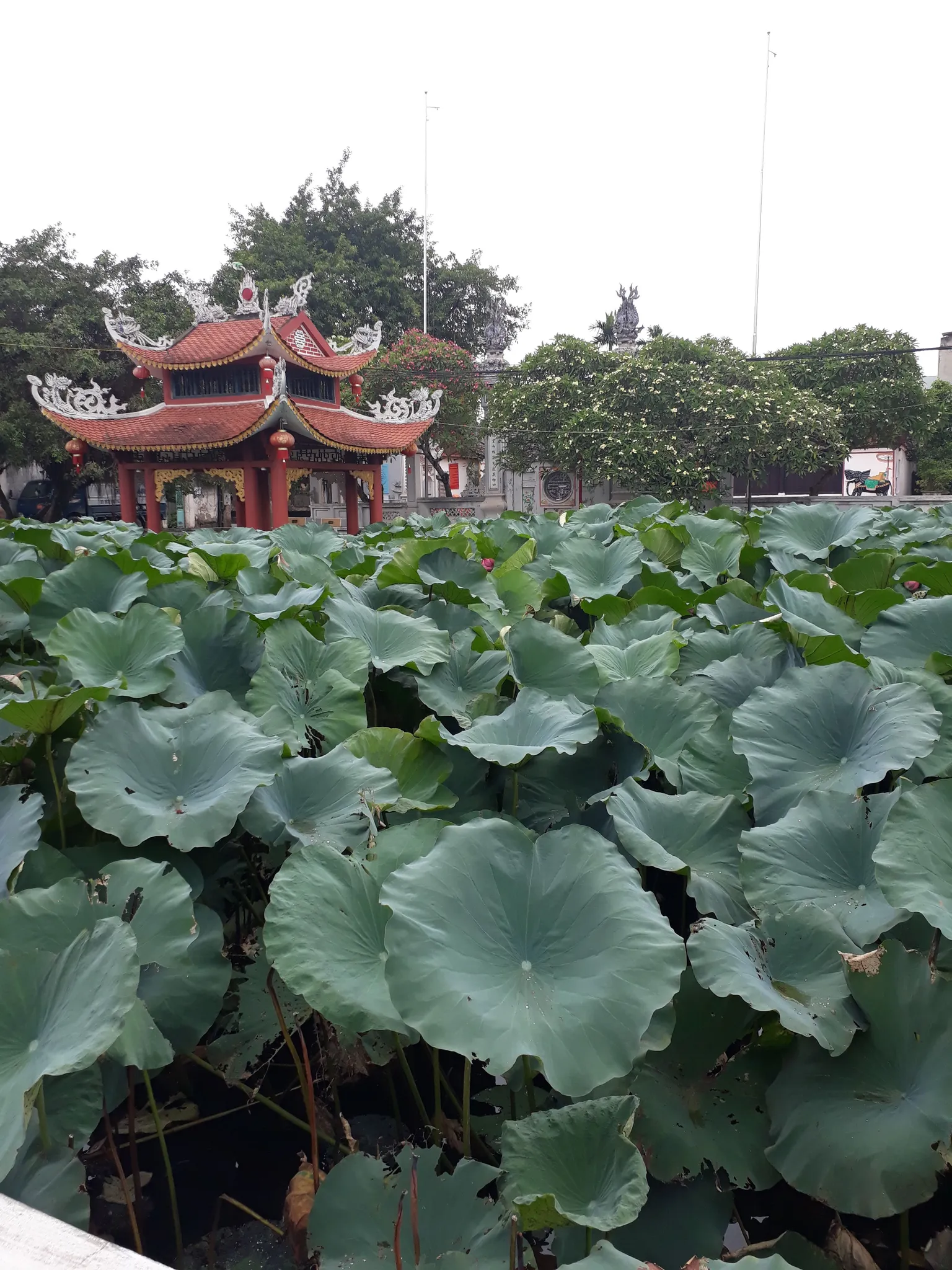 Không gian cảnh quan trước đình Nội Chúc Sơn