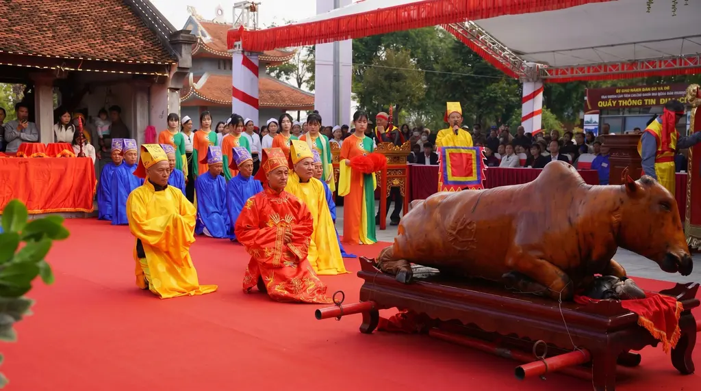Hình ảnh lễ tế bò đền Lăng Sương