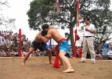Hai đô vật trong trận chiến tại Lễ hội Vật Võ Liễu Đôi