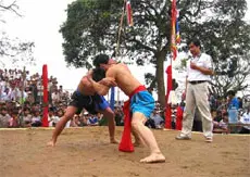 Hai đô vật trong trận chiến tại Lễ hội Vật Võ Liễu Đôi
