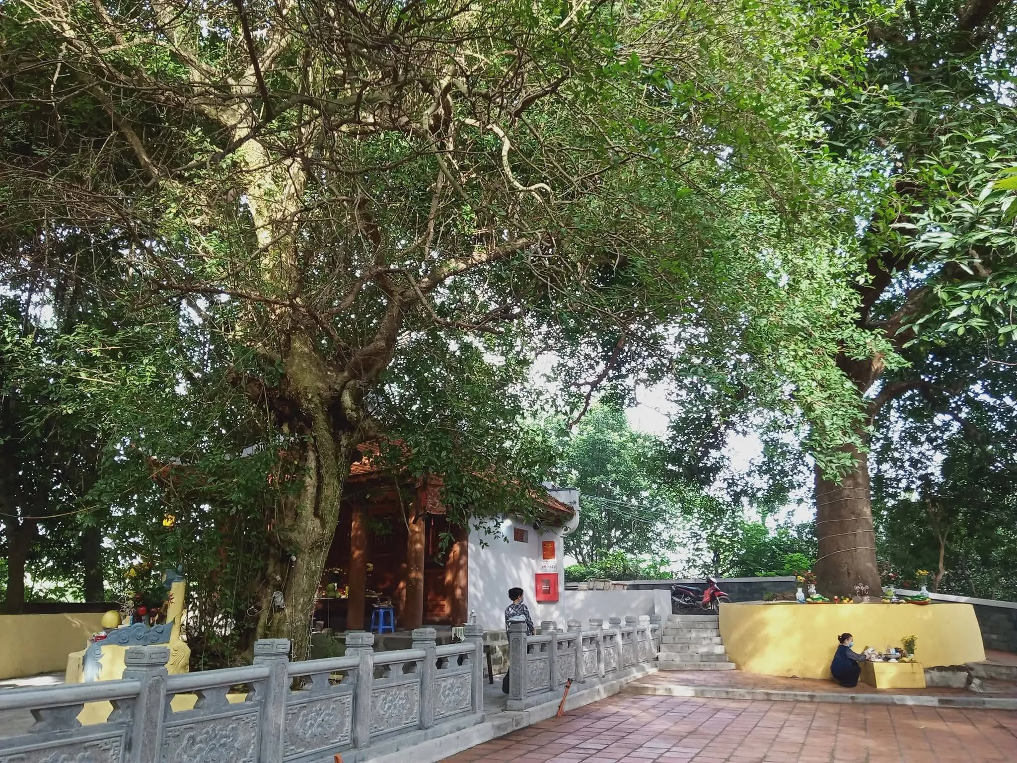 Không gian cảnh quan Đền Hàm Rồng