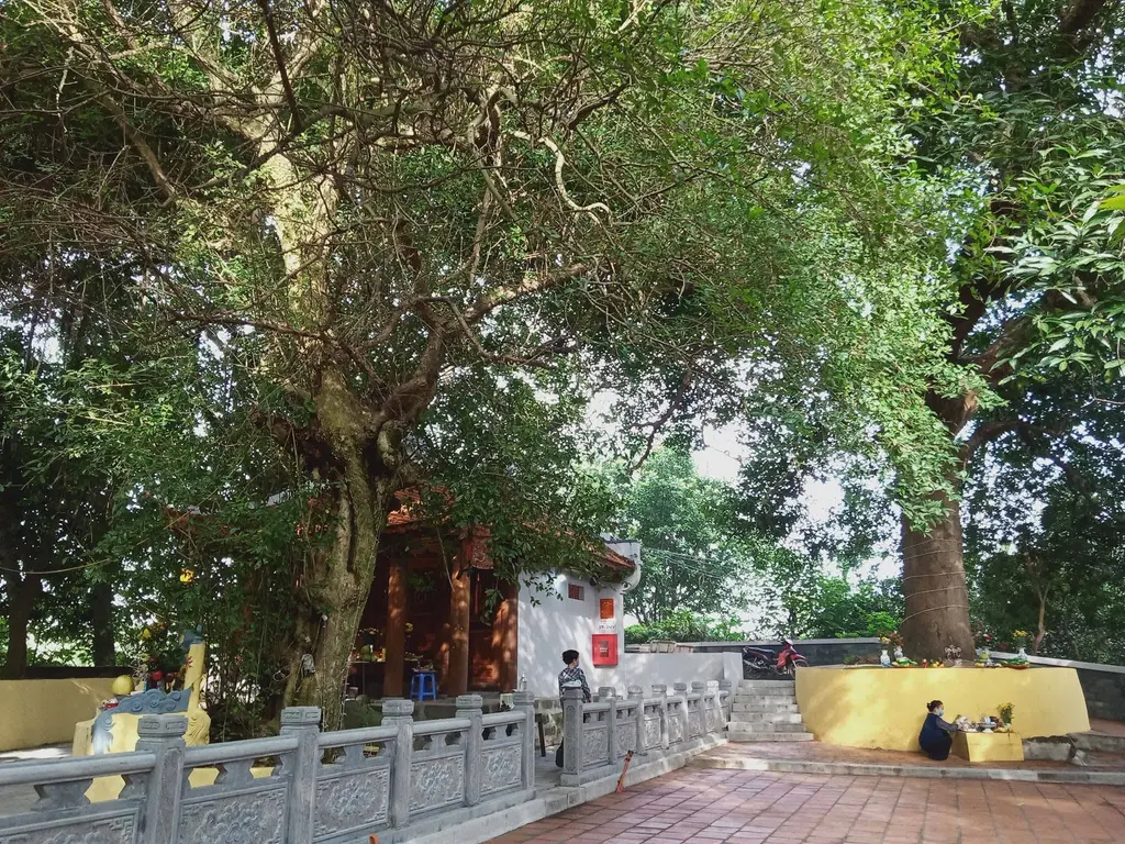 Không gian cảnh quan Đền Hàm Rồng