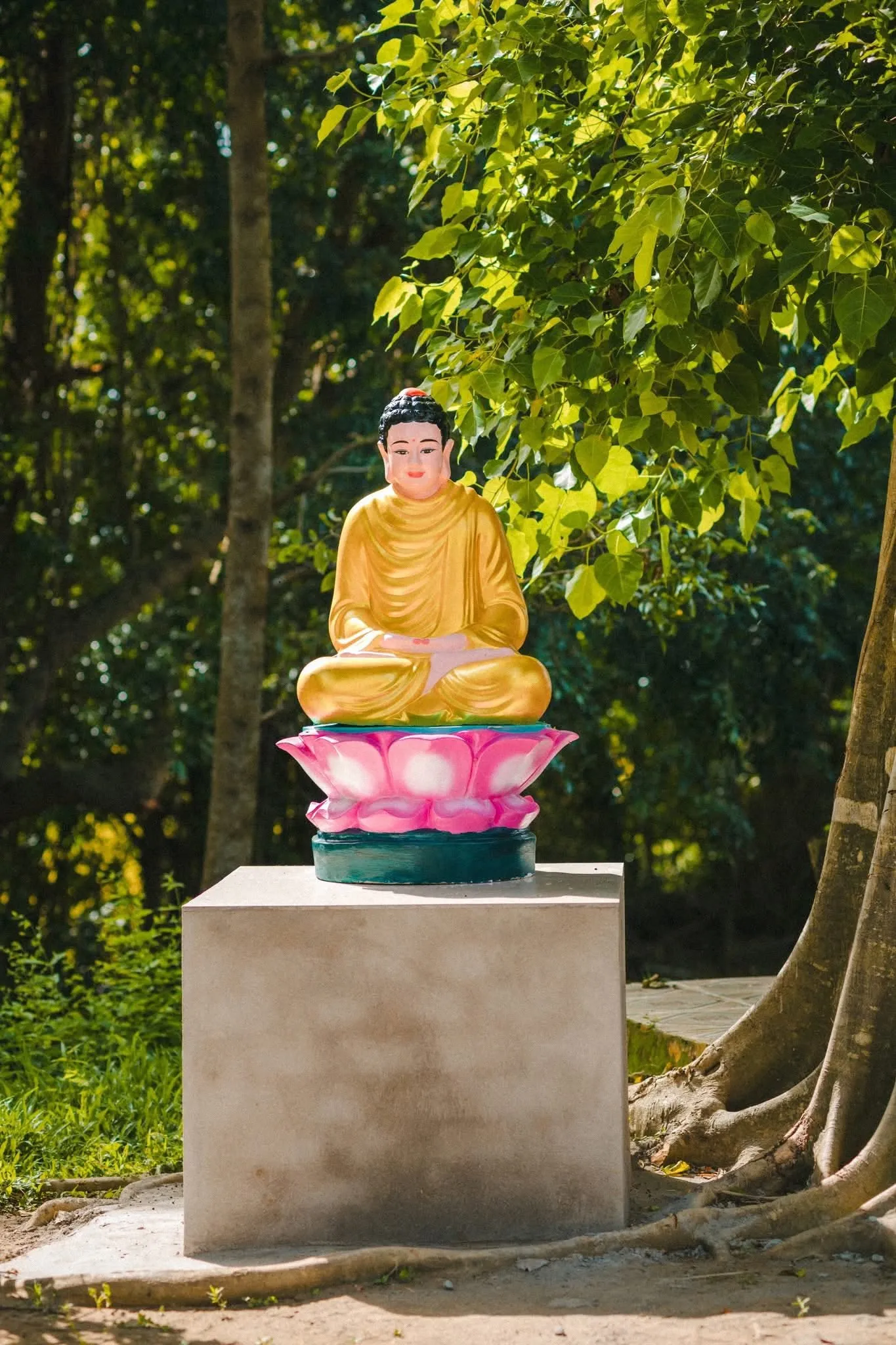 Không gian bình yên tại Chùa Giác Linh (Chùa Dơi)