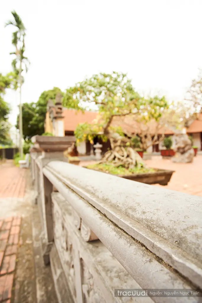 Chính điện di tích Chùa Trung Hành nhìn từ xa