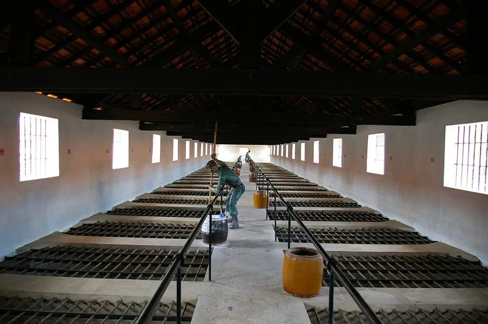 Khu chuồng cọp kiểu Pháp tại Nhà tù Côn Đảo