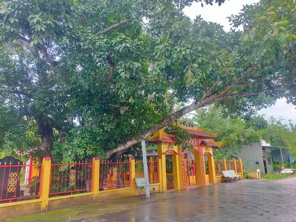 Cảnh quan di tích Miếu Vua Gia Long