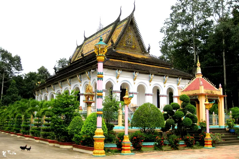 Chính điện Chùa Chim