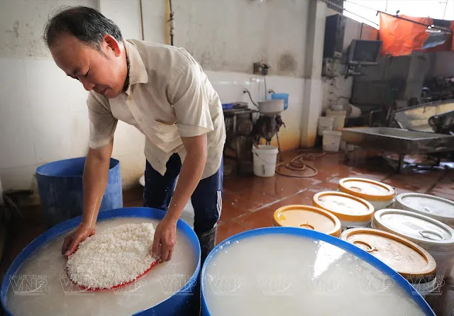 Công đoạn chọn và ngâm gạo để chuẩn bị làm bánh đa nem tại làng nghề Trung Hà