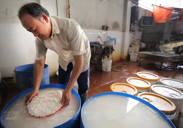 Công đoạn chọn và ngâm gạo để chuẩn bị làm bánh đa nem tại làng nghề Trung Hà