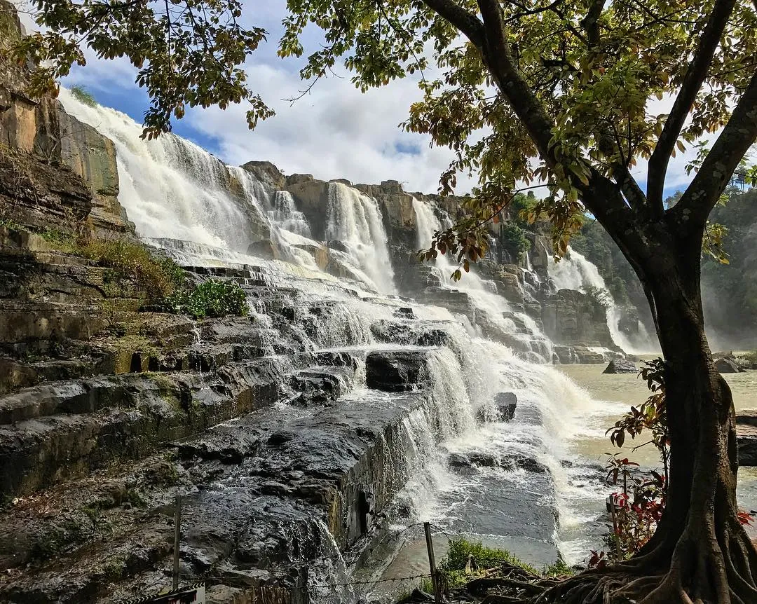 Không gian cảnh quan tại Thác Pongour