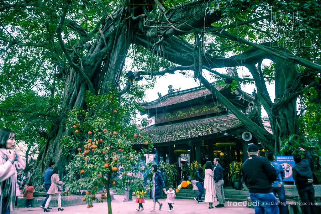 Không gian cảnh quan di tích Đền Mẫu