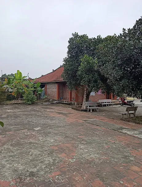 Cảnh quan phía sau Chùa Cẩm Bào