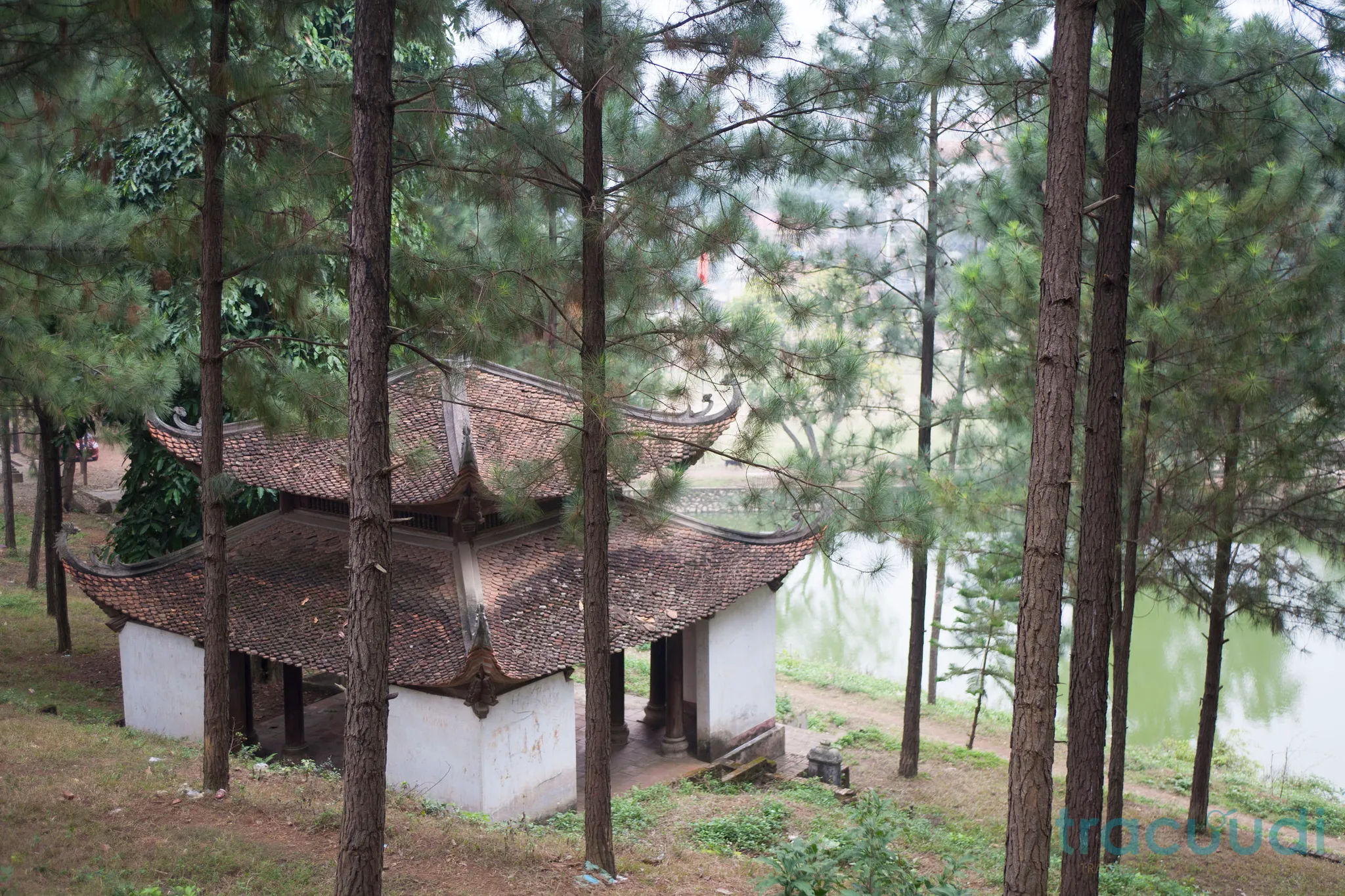 Cảnh quan di tích Chùa Trăm Gian