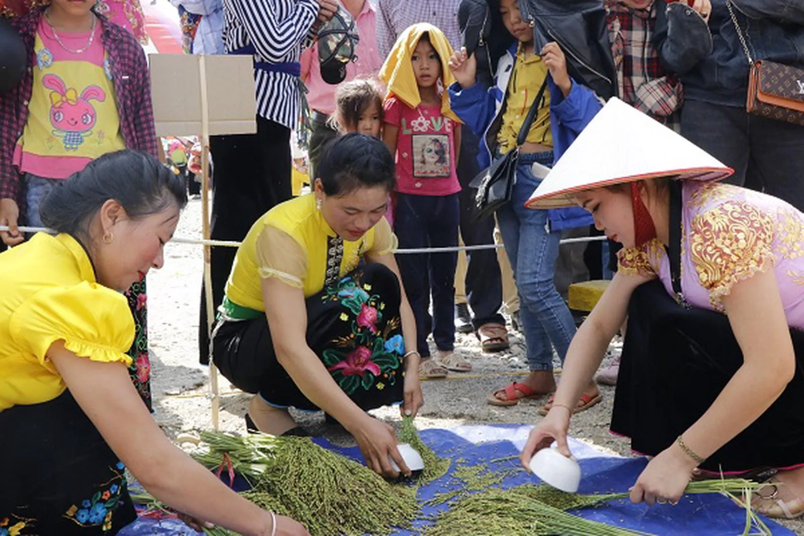 Công đoạn tuốt lúa chuẩn bị làm cốm