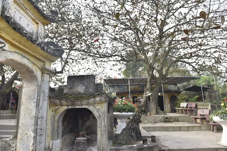 Khuôn viên Đền Độc Cước