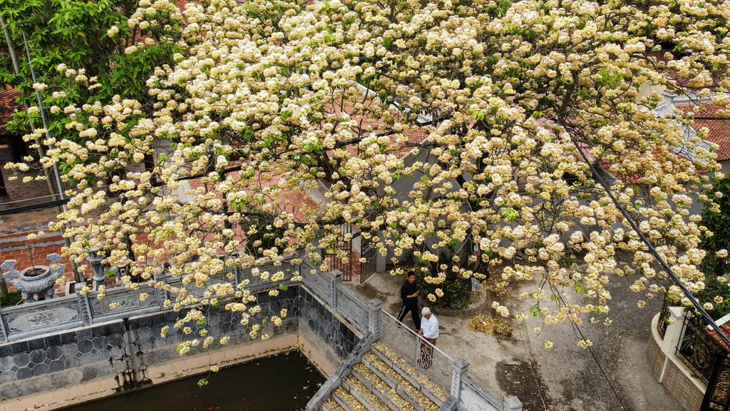 Không gian cảnh quan Chùa Hà Trì