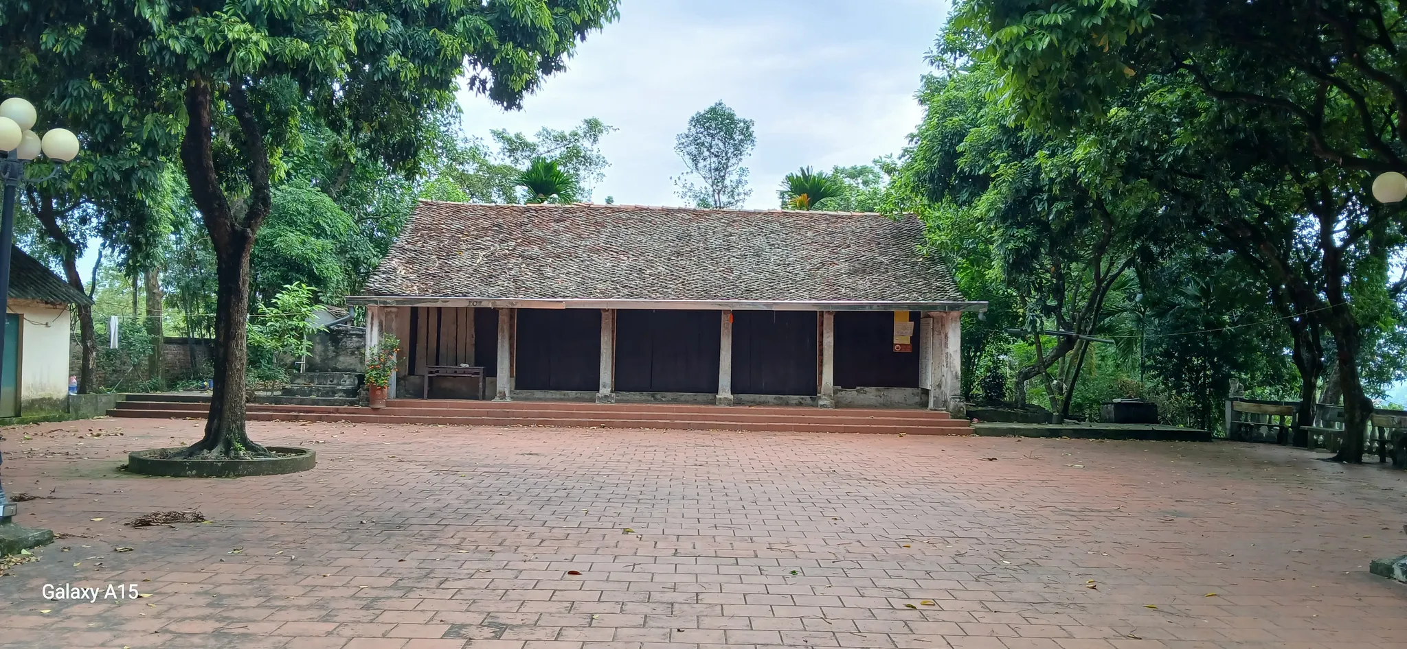 Quán Vật Đồng Nanh