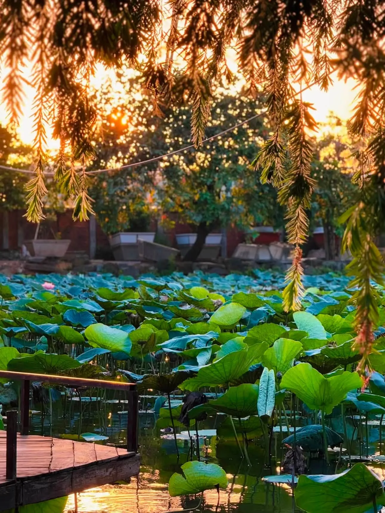 Quang cảnh tuyệt đẹp tại Tu viện Khánh An