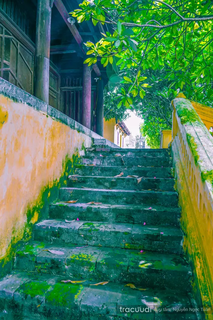 Lỗi lên trong khuôn viên Đình Đông Ngạc