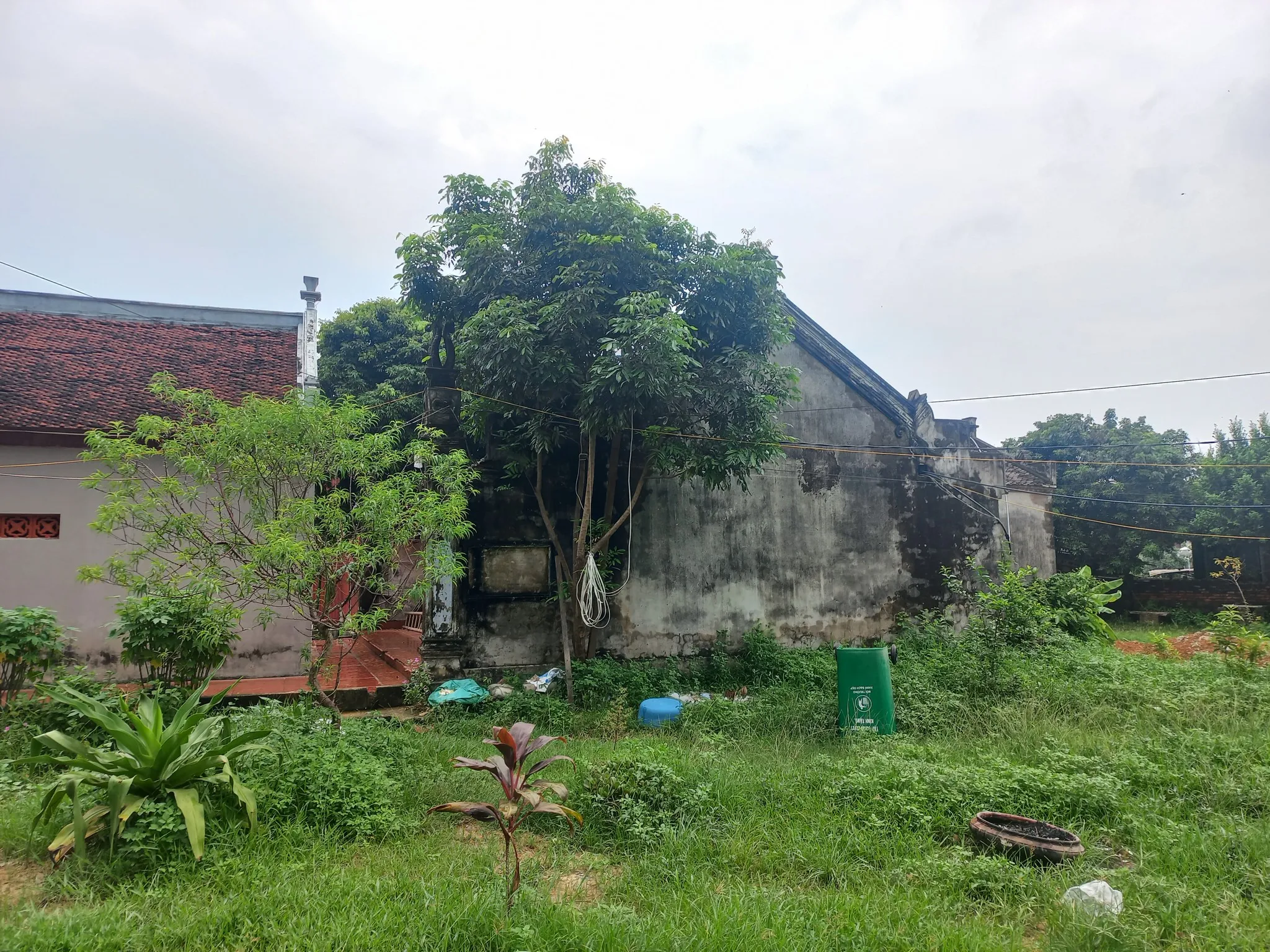 Đình Làng Phú Vinh nhìn từ khuôn viên Đình
