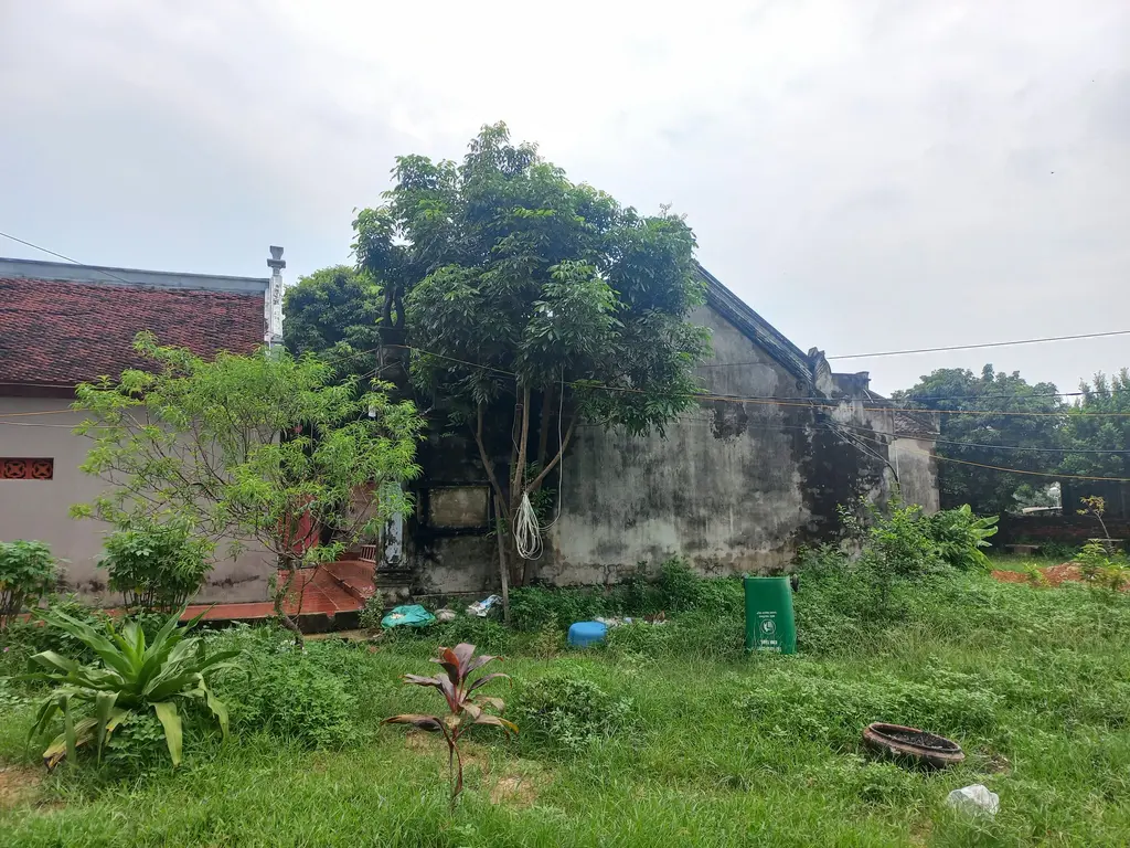 Đình Làng Phú Vinh nhìn từ khuôn viên Đình