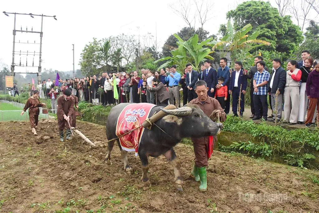 Lễ tịch điền tại Lễ hội đình Thọ Vực