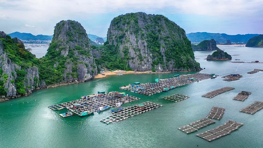 Không gian cảnh quan tại Di tích thương cảng Vân Đồn