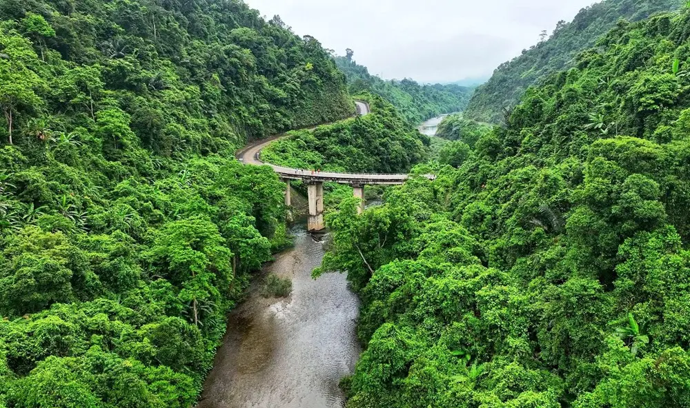 Hai bên Đường Trường Sơn phủ rợp cây xanh