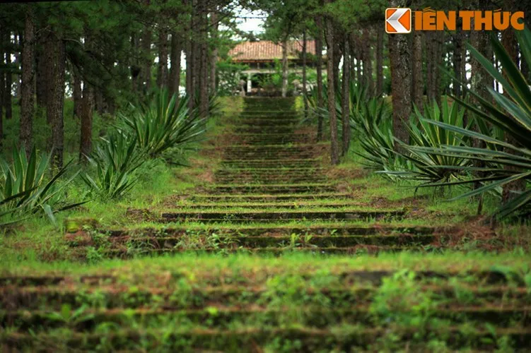 Lối dẫn lên Lăng Nguyễn Hữu Hào