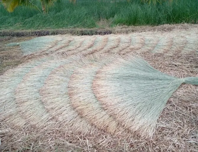 Công đoạn phơi lác