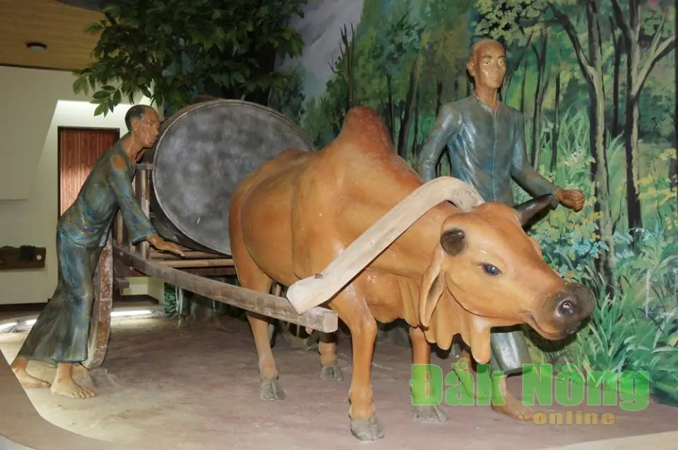 Phục dựng cảnh tù nhân bị đày ải bằng các công việc nặng nhọc tại Ngục Đăk Mik