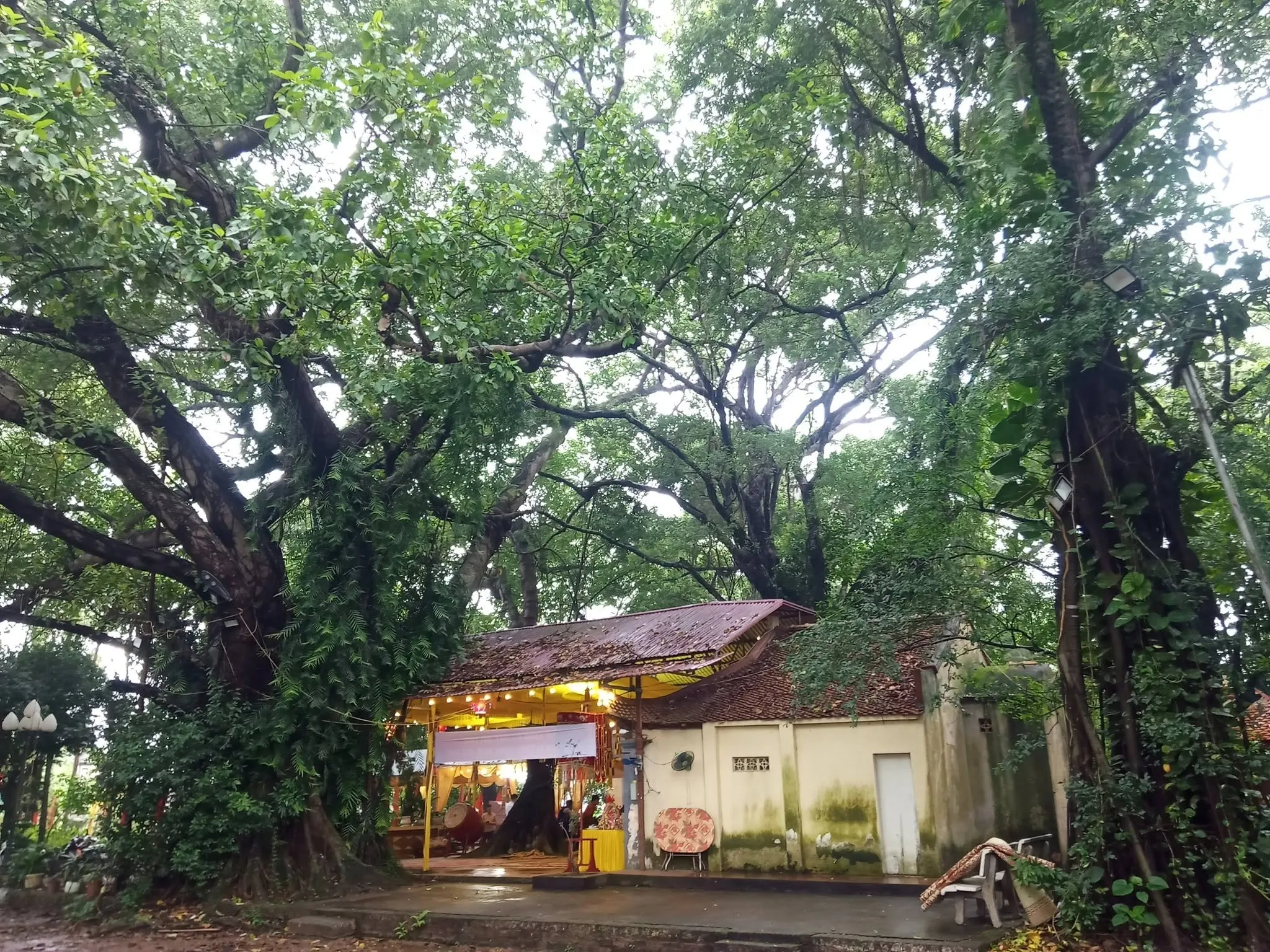 Không gian cảnh quan miếu Giang Khê.