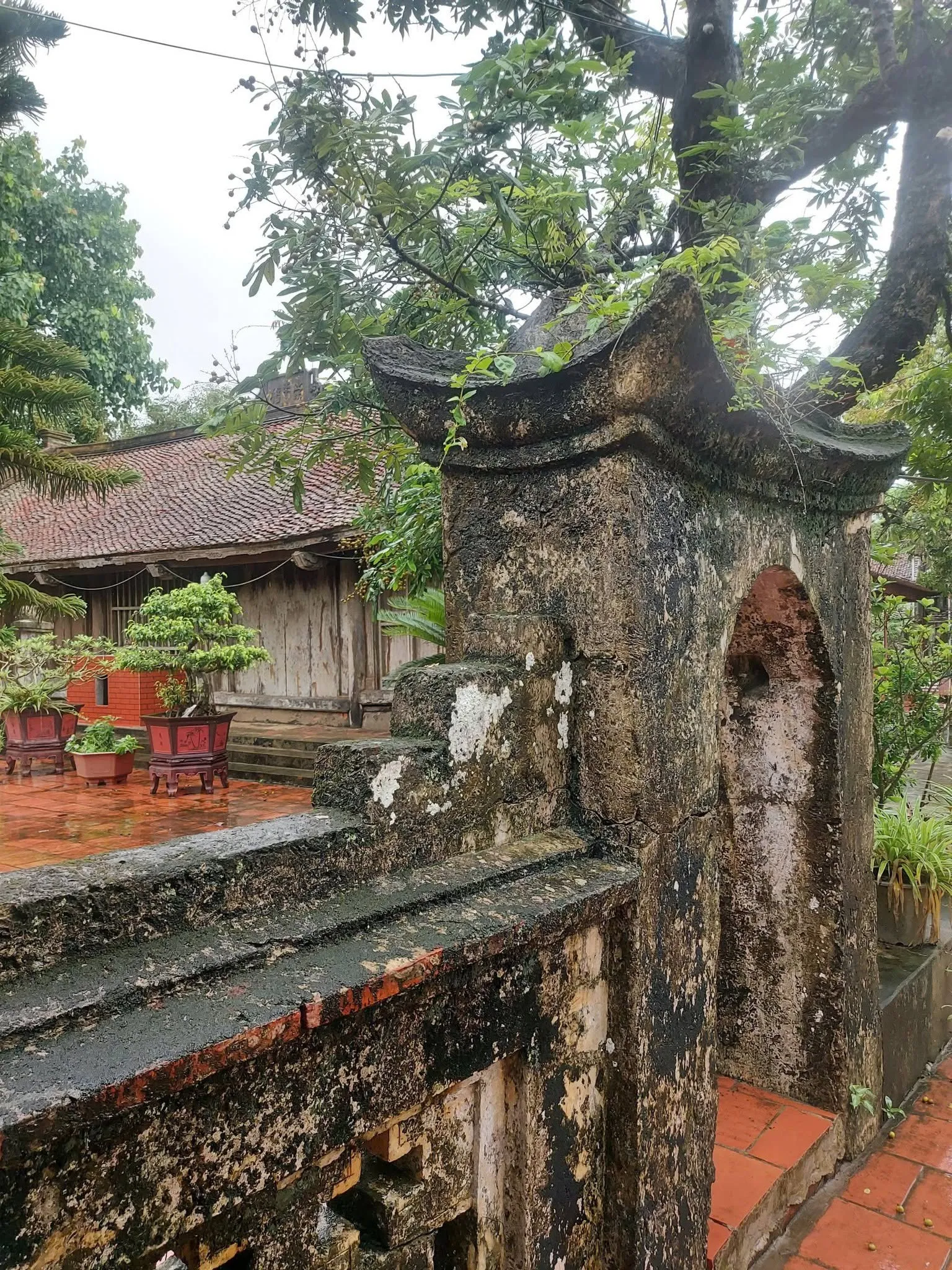 Nét cổ rêu phong trên tường đền An Cố