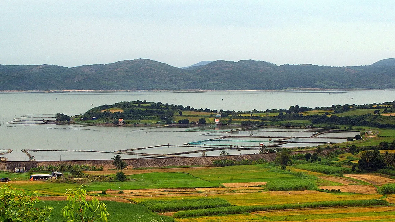 Nét yên bình tại Đầm Ô Loan