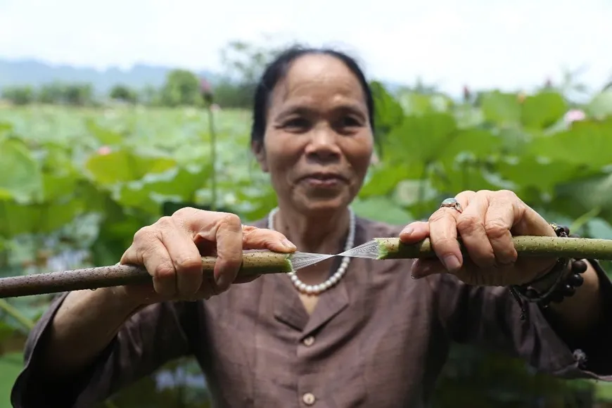 Bà Phan Thị Thuận cùng công đoạn rút sợi tơ
