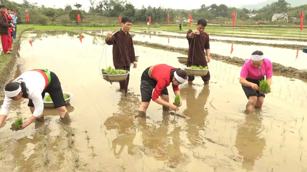 Các đội thi cấy mặc trang phục truyền thống tại Lễ hội Hạ điền đình Đồng Sương