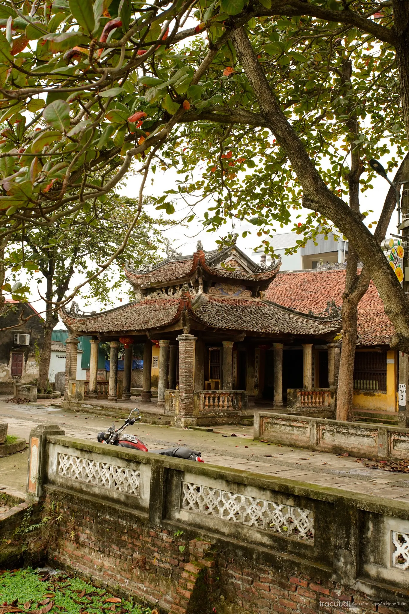 Không gian cảnh quan di tích Đình Mai Hiên