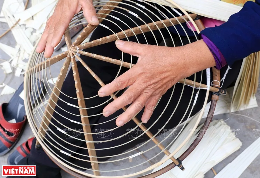 Các thanh giang, nứa được cuốn tròn để làm khung nón.