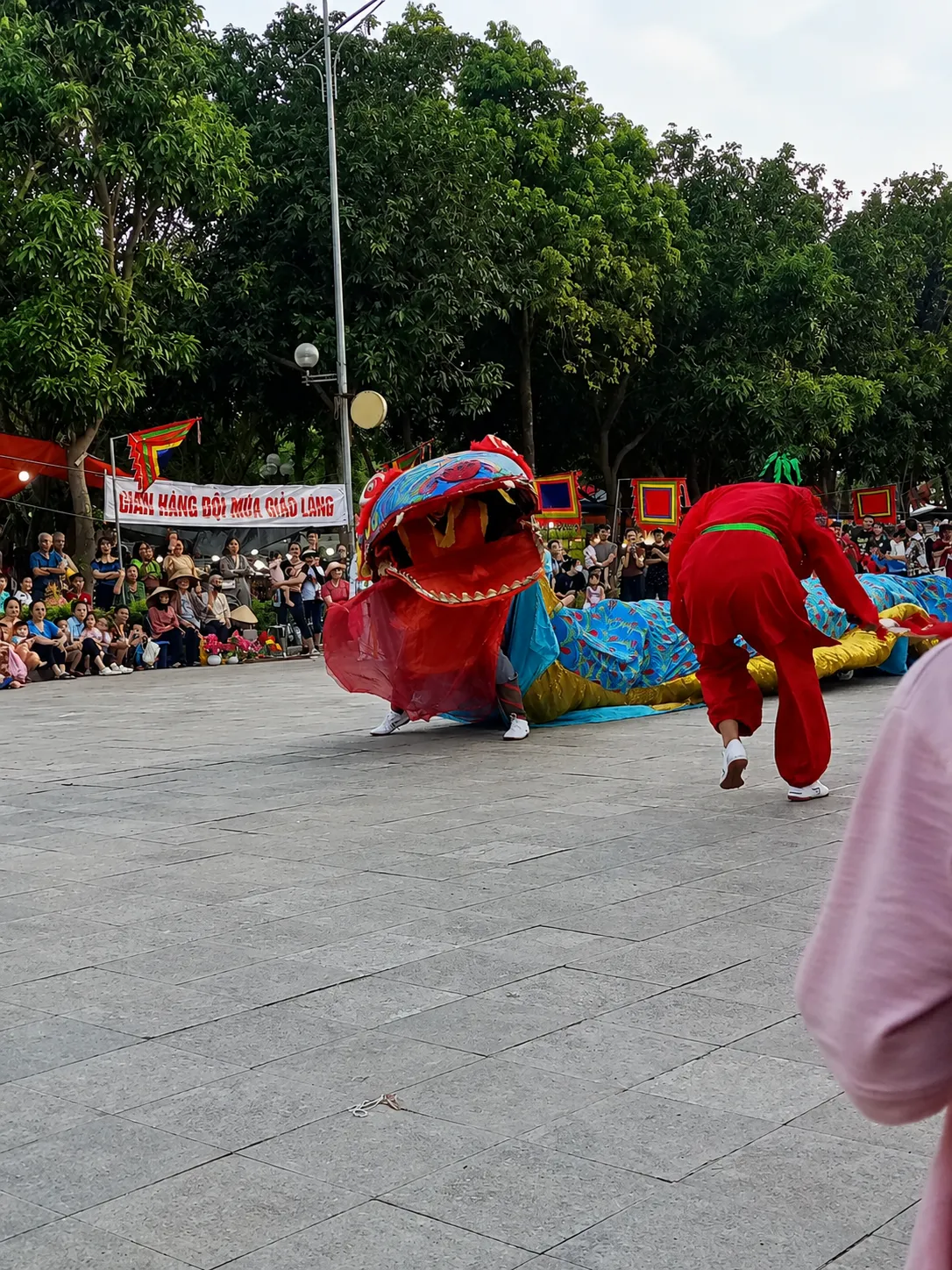 Chàng trai làng Lệ Mật chiến đấu với Giảo Long