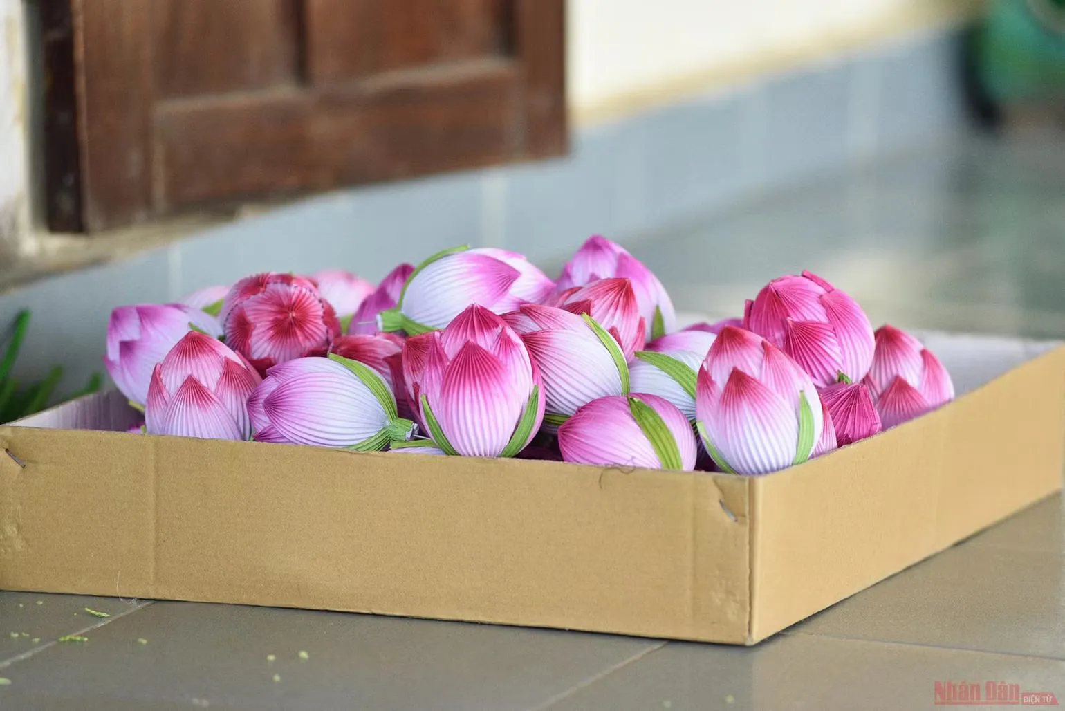 Hoa sen giấy Thanh Tiên